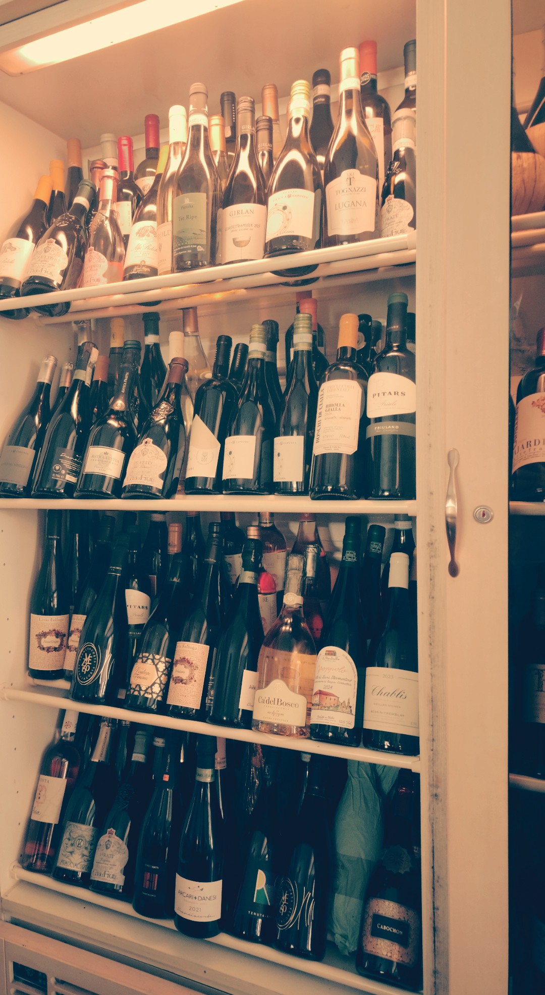 Cantina climatizzata con le bottiglie di vino bianco